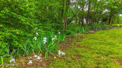 Wooded Lane 2016 (73)