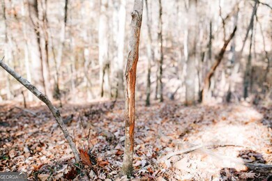 0 Greensboro Rd unit 10649352, Crawfordville, GA 30631 - photo 6