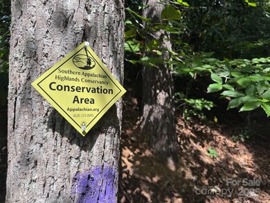 508 Old Bee Tree Rd, Swannanoa, NC 28778 - photo 4