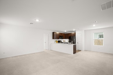 125 Gabbro Gardens, Maxwell, TX 78656 - photo 6