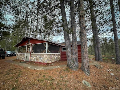 2920 Bywater Ln, Republic, MI 49879 - photo 6