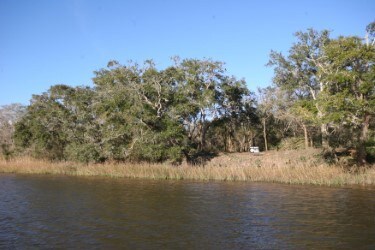 3745 Farm To Market 2611, Brazoria, TX 77422 - photo 5