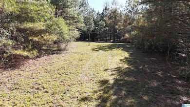 701 County Road 31, Hanceville, AL 35077 - photo 7