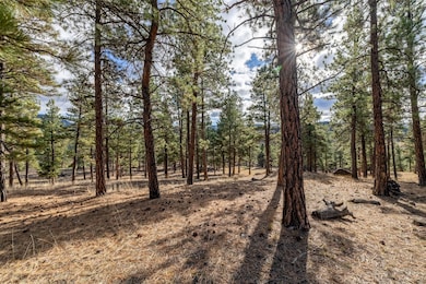 TBD Lump Gulch, Clancy, MT 59634 - photo 4