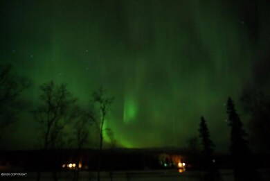 Northern Lts in Back Yd