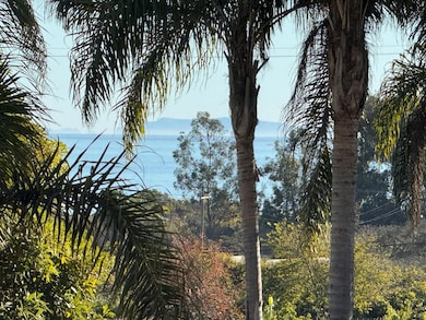Anacapa View