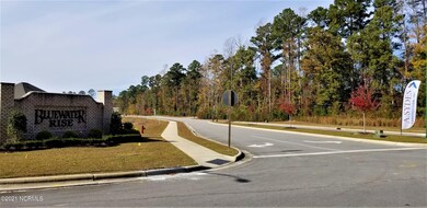 1037 Mackerel Manor, New Bern, NC 28562 - photo 3