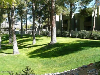 Grounds 3