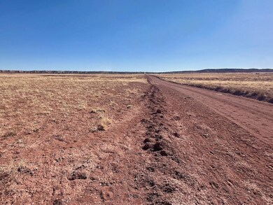 Tbd Rincon Valley Rd, Saint Johns, AZ 85936 - photo 6