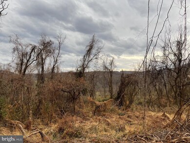 0 Appalachian Ln unit VAWR2001064, Linden, VA 22642 - photo 6