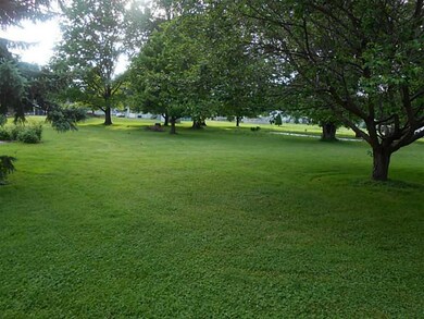 Yard/Garden.