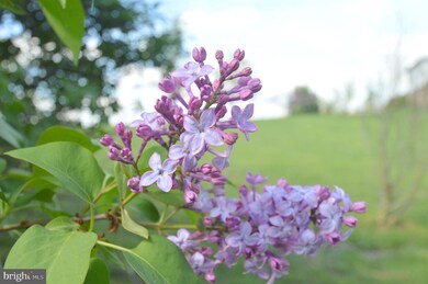 9695 Winchester Grade Rd, Berkeley Springs, WV 25411 - photo 7