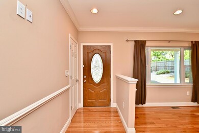 3423 Spring Dr, Alexandria, VA 22306 - photo 4