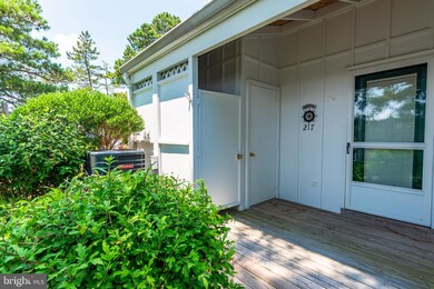 38256 Hummingbird Ln unit 217, Selbyville, DE 19975 - photo 4
