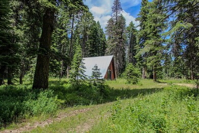 Forested Building Lot