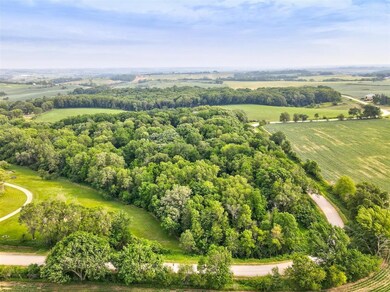 View looking North of 11.91 acres