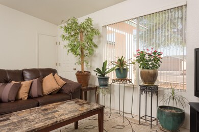 10111 E. Hummingbird Way-9194-Edit