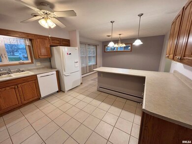 1401 6th St, Orion, IL 61273 - photo 7