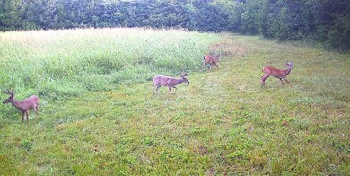 880 Wasden Rd, Hope Hull, AL 36043 - photo 6