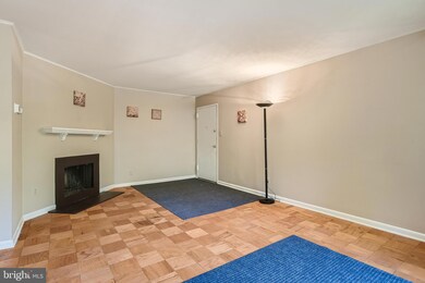 101 Fitz Ct unit 204, Reisterstown, MD 21136 - photo 2