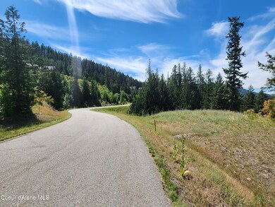 Paved Buffalo Rd View