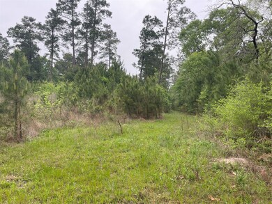 walking property