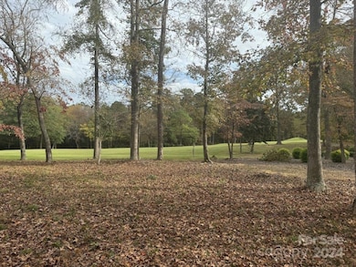 202 Patterson's Bridge None, New London, NC 28127 - photo 3