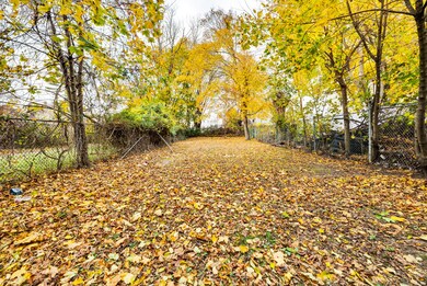 115 Clay St, New Haven, CT 06513 - photo 4