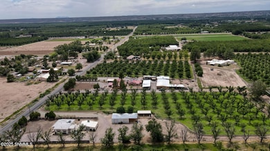 2100 W Union Ave, Las Cruces, NM 88005 - photo 5