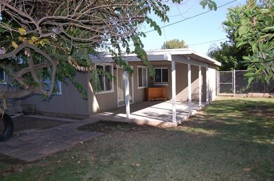 Rear yard showing patio and dog run.
