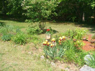 470 Cheohee Valley Rd, Tamassee, SC 29686 - photo 6