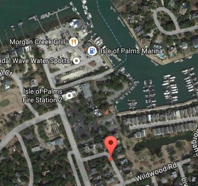 7 Frank Sottile Ln, Isle of Palms, SC 29451 - photo 3