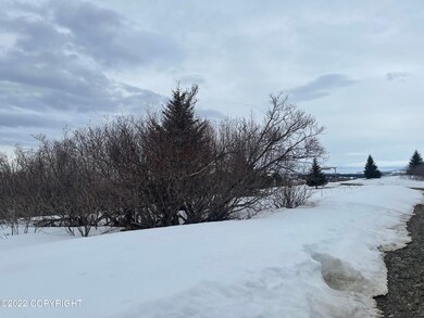 64890 Knob Hill Rd, Anchor Point, AK 99556 - photo 2