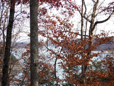 Lot 24 Restful Run Rd, Nancy, KY 42544 - photo 4