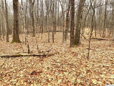 573 Willow Brook Rd, Clinton Corners, NY 12514 - photo 2