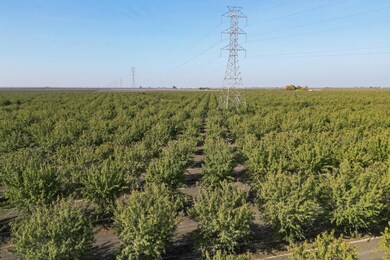 0 W Springfield Ave, San Joaquin, CA 93660 - photo 6