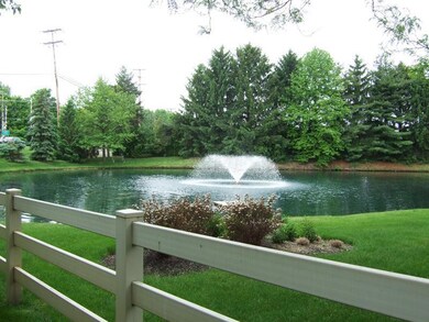 Pond view