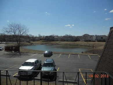 17951 Huntleigh Ct unit 201, Country Club Hills, IL 60478 - photo 2