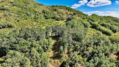 1368 Cr 124 unit Durango CO, Durango, CO 81301 - photo 5