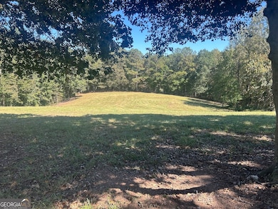 0 New Mexico Rd unit TRACT 1 (7.47 ACRES), Bowdon, GA 30108 - photo 5