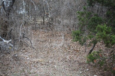 14067 Sandy Oaks Dr, Whitney, TX 76692 - photo 4