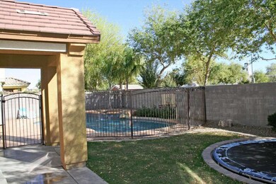 Backyard Family Fun