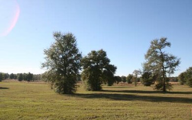 LOT71 Mandiba Dr, Lake City, FL 32024 - photo 4