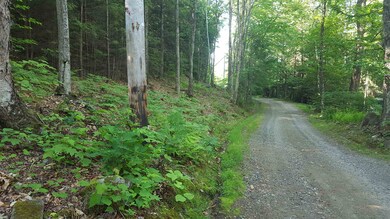 Lot 03-03-01 Thornton Gore Rd, Thornton, NH 03285 - photo 3