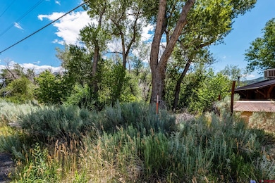 1110 Animas View Dr, Durango, CO 81301 - photo 2