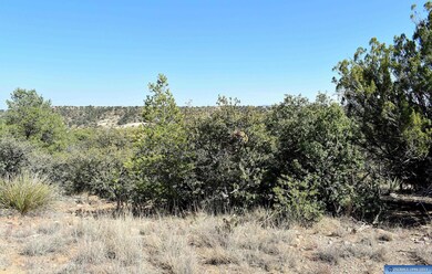 Lot 13 Hereford Dr, Silver City, NM 88061 - photo 5