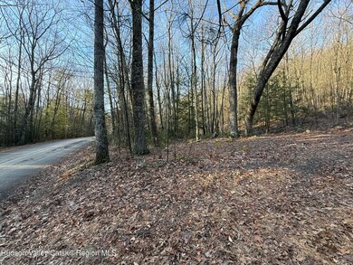 No Number Upper Cherrytown Rd, Rochester, NY 12446 - photo 4