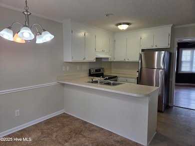 2136 Flagstone Ct unit 3, Greenville, NC 27834 - photo 4