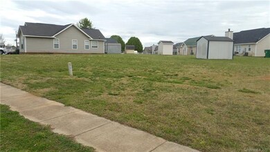 RIGHT SIDE YARD OPPOSITE THE GARAGE YARD