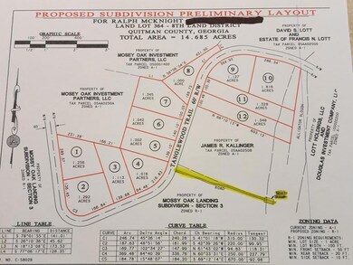 Lot # 9 Tanglewood Trail Subdivision, Georgetown, GA 39854 - photo 4